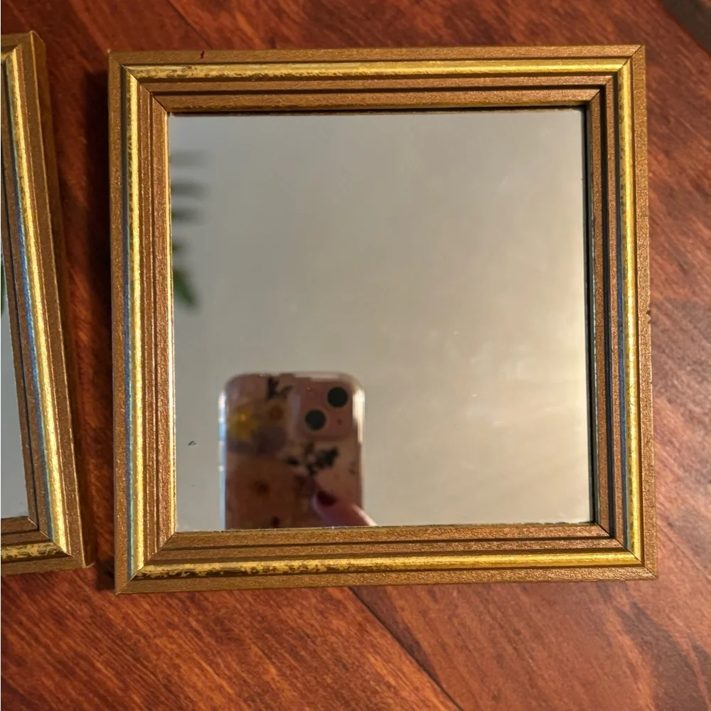 Elegant Gold Framed accent Wall Mirrors set of 2